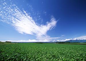 浜松市中央区高林にある安心と信頼の葬儀場【富士葬祭 高林】の特徴とサービス詳細