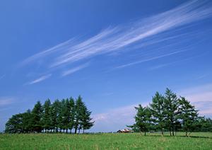 【公式】家族葬のタクセル佐鳴台｜静岡県浜松市の安心・低価格な家族葬専門斎場