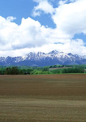 静岡県浜松市に新設!家族葬のタクセル豊町 ? 安心・低価格の家族葬専門斎場の詳細と特徴