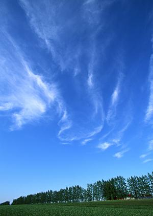 静岡市の家族葬とプライベート葬儀を安心サポート【富士葬祭 唐瀬】の特徴と詳細情報