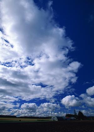 静岡市清水区の家族葬専用斎場【家族葬のタクセル東大曲】詳細ガイド