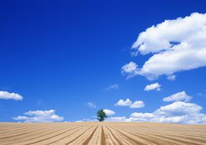 静岡市葵区にある家族葬のタクセル長沼｜低価格・プライベートな葬儀を実現