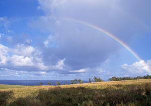 静岡県菊川市の信頼と実績を誇る富士葬祭 菊川:安心の家族葬と丁寧な葬儀サポート