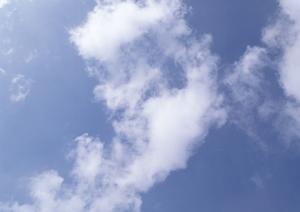 静岡市で信頼の葬儀サービス【富士葬祭 清水有東坂】の特徴と詳細情報