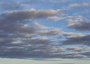 静岡市で選ばれる安心の葬儀場【富士葬祭折戸】家族葬・小規模葬儀に最適な斎場とサービスの詳細ガイド